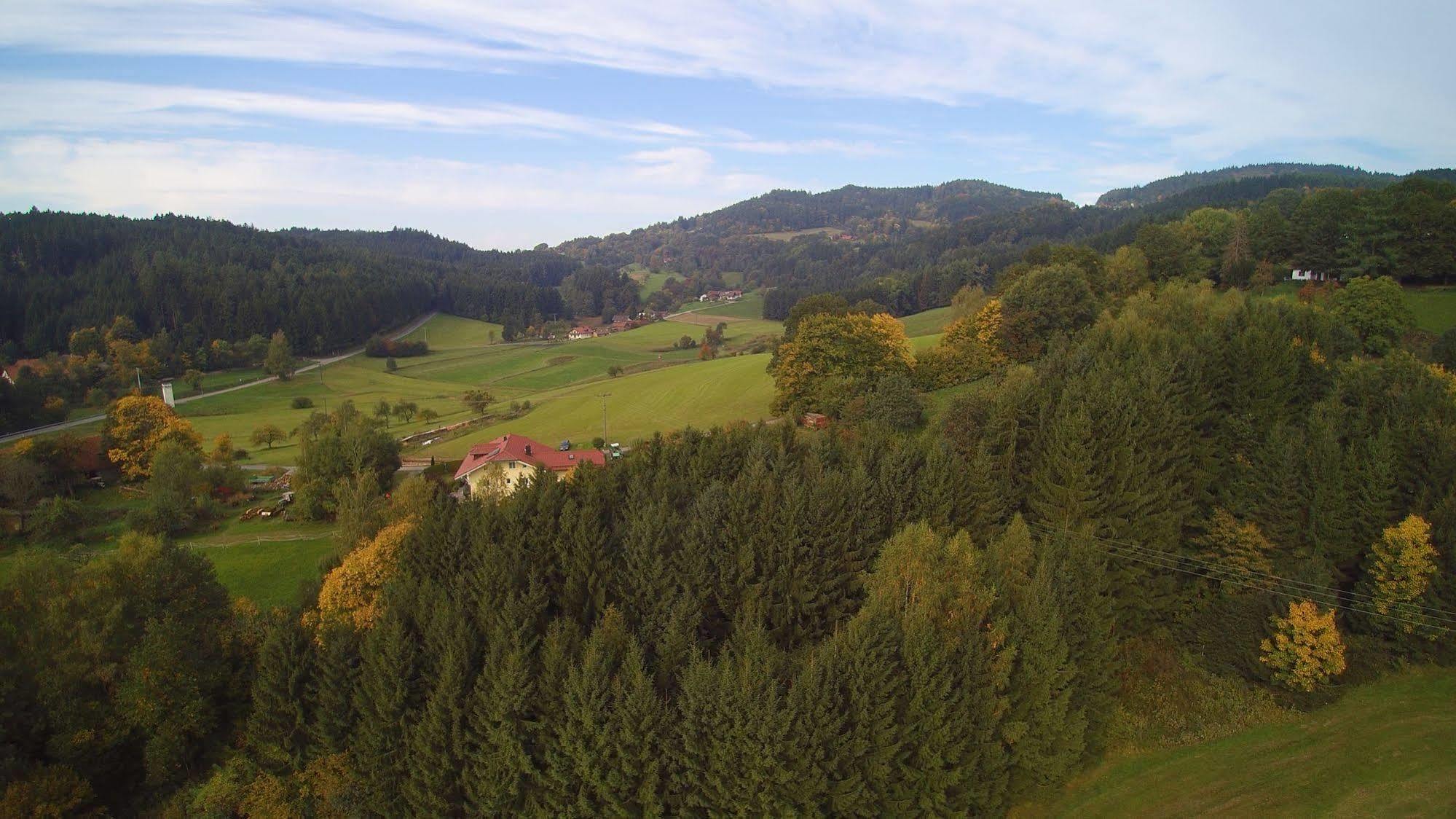Hotel Bayerischer Wald Neukirchen  Exterior foto