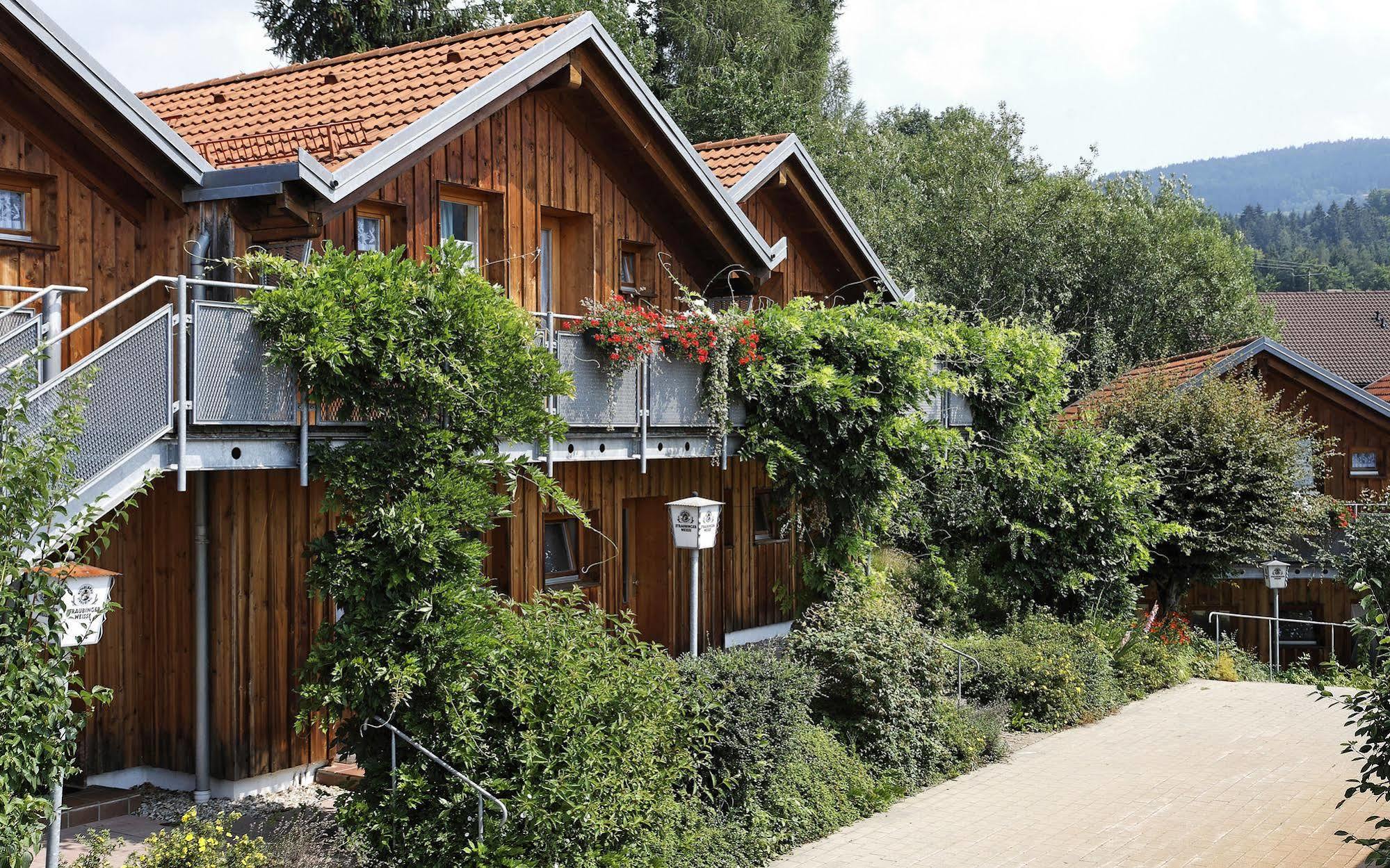 Hotel Bayerischer Wald Neukirchen  Exterior foto