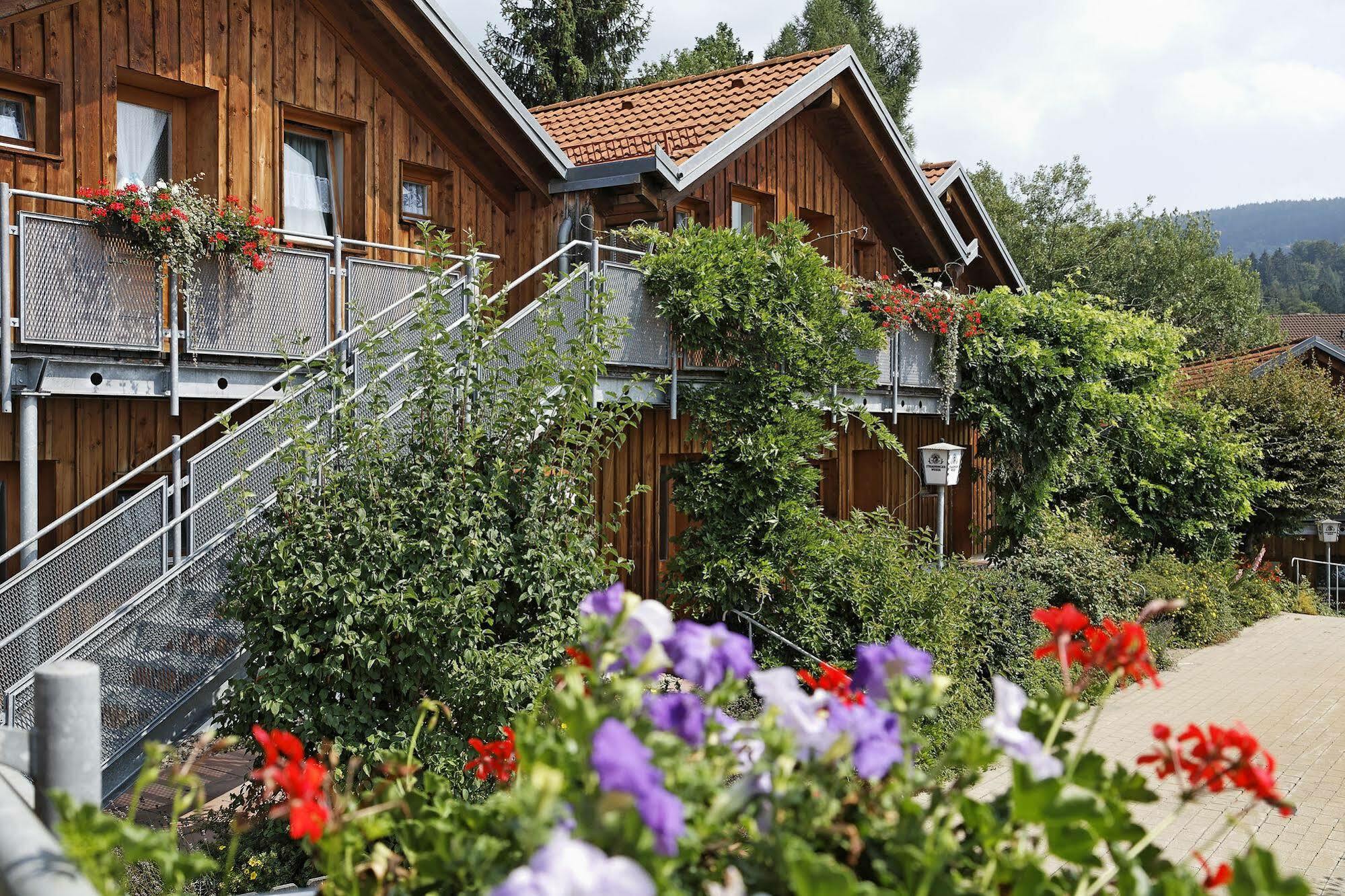 Hotel Bayerischer Wald Neukirchen  Exterior foto